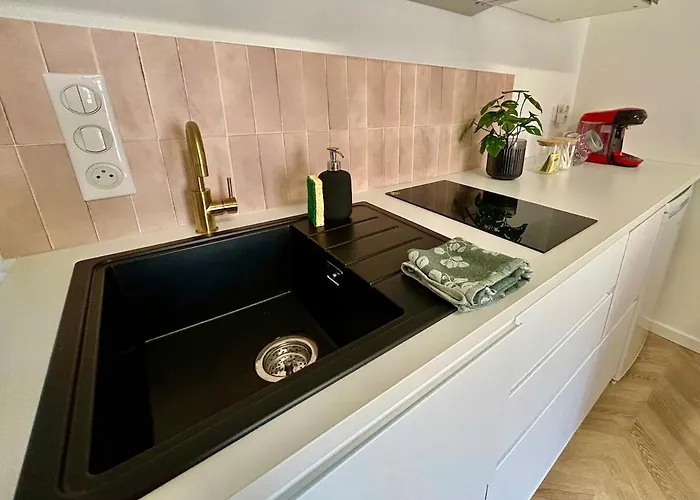 La Reine Du Faubourg * Dijon