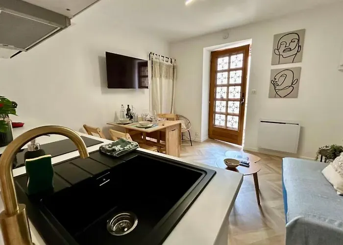 Appartement La Reine Du Faubourg Dijon